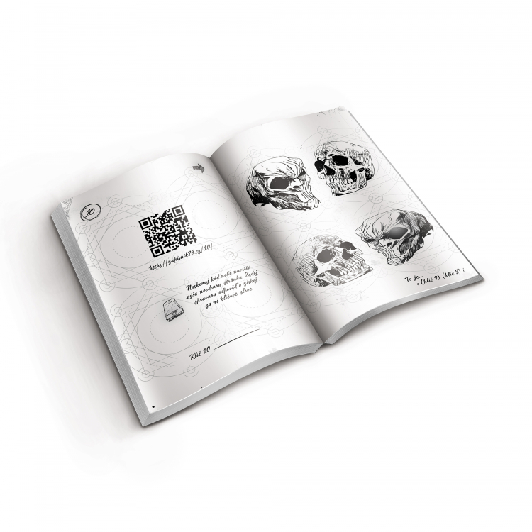 Kniha EXIT - Zápisník 29