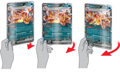 Pokémon TCG: Charizard ex Special Collection