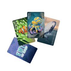 Similo - Pod hladinou